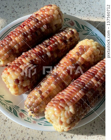 Freshly boiled corn on the cob, tender and juicy, ready to eat. Perfectly cooked to bring out the natural sweetness of each kernel, ideal for a delicious, simple side dish. 137560712