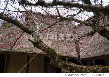 An old folk house that will warm your body and soul 137560743