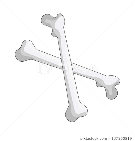 Illustration of Crossed bones Illustration of Crossed bones 137560819