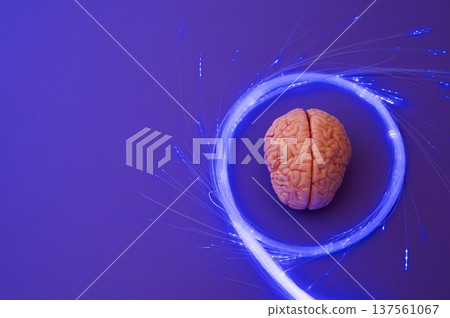 Purple day. Epilepsy awareness day. Neurolink example 137561067