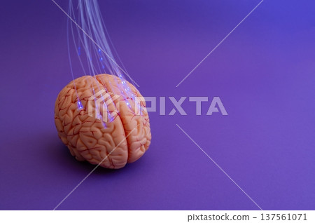 Purple day. Epilepsy awareness day. Neurolink example 137561071