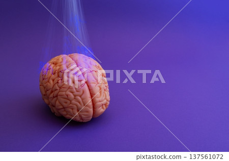 Purple day. Epilepsy awareness day. Neurolink example Purple day. Epilepsy awareness day. Neurolink example 137561072