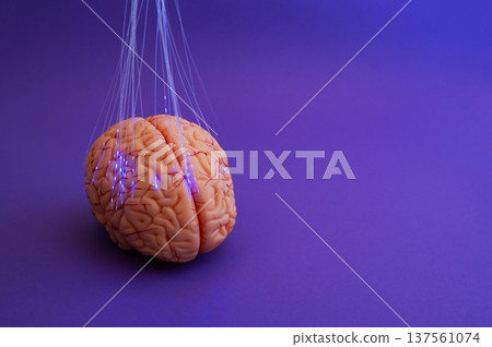 Purple day. Epilepsy awareness day. Neurolink example 137561074