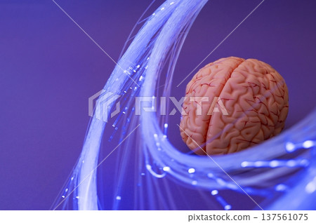 Purple day. Epilepsy awareness day. Neurolink example 137561075