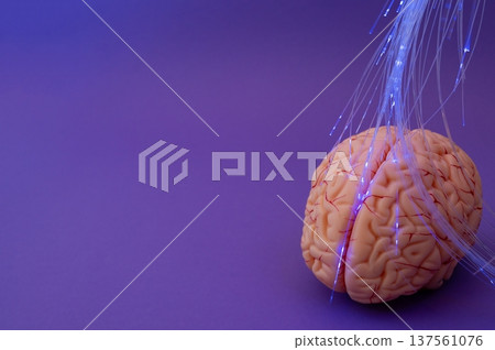 Purple day. Epilepsy awareness day. Neurolink example 137561076