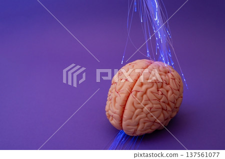 Purple day. Epilepsy awareness day. Neurolink example 137561077