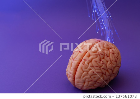 Purple day. Epilepsy awareness day. Neurolink example 137561078