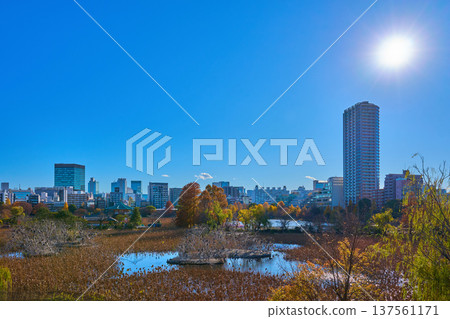 東京都台東區上野不忍池與都市景觀(池端一丁目、上野二丁目) 東京都台東區上野不忍池與都市景觀(池端一丁目、上野二丁目) 137561171
