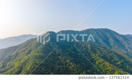 Kwun Yam Shan forested peak rising beneath clear sky March 7 2026 137561314