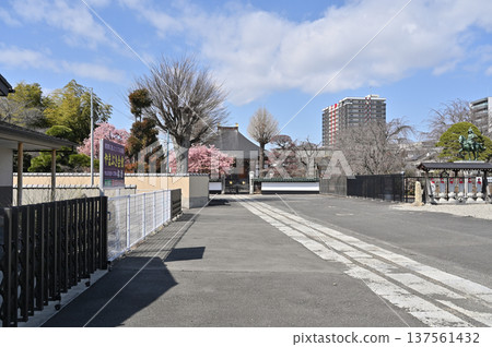 岩槻步道:曹洞宗法林寺本殿 岩槻步道:曹洞宗法林寺本殿 137561432