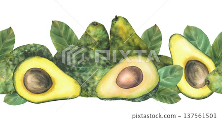 Avocado seamless border. Whole and cut avocado fruit half with seed and leaves. Watercolor painting illustration isolated from background for food packaging pattern design, farm product label print. 137561501