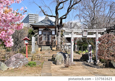 岩槻市漫步:保壽稻荷神社和白山堂,皆位於曹洞宗禪寺法林寺內。 岩槻市漫步:保壽稻荷神社和白山堂,皆位於曹洞宗禪寺法林寺內。 137561625
