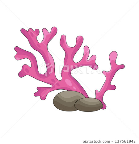 Illustration of coral reef 137561942
