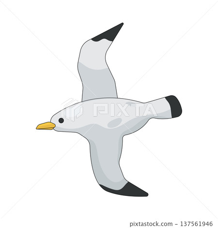 Illustration of seagull Illustration of seagull 137561946