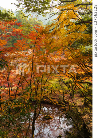 Autumn leaves at Kunenan in Kanzaki, Saga Prefecture Autumn leaves at Kunenan in Kanzaki, Saga Prefecture 137562128