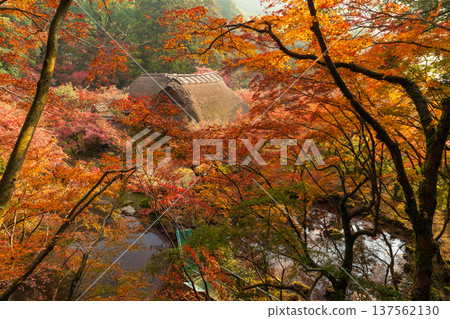 佐賀縣神崎市久南的秋葉 137562130