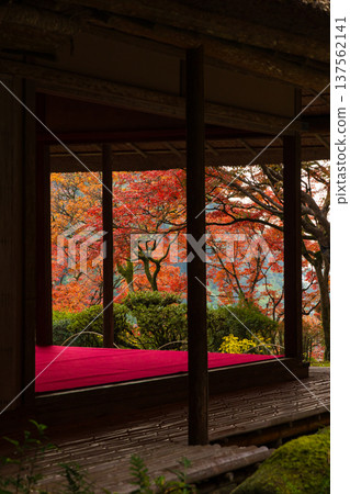 Autumn leaves at Kunenan in Kanzaki, Saga Prefecture Autumn leaves at Kunenan in Kanzaki, Saga Prefecture 137562141