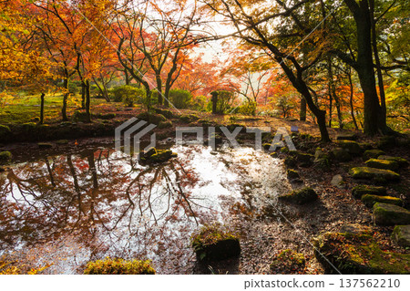 Autumn leaves at Kunenan in Kanzaki, Saga Prefecture Autumn leaves at Kunenan in Kanzaki, Saga Prefecture 137562210