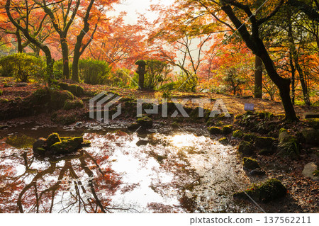 Autumn leaves at Kunenan in Kanzaki, Saga Prefecture Autumn leaves at Kunenan in Kanzaki, Saga Prefecture 137562211