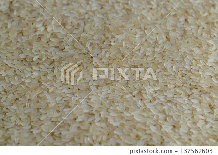 white dry hard rice, sprinkled before cooking, is sprinkled with natural, pure, ground rice, served on the table before cooking, a large amount of pure, high-quality, natural rice grains white dry hard rice, sprinkled before cooking, is sprinkled with natural, pure, ground rice, served on the table before cooking, a large amount of pure, high-quality, natural rice grains 137562603