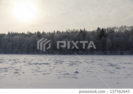 a wide river completely covered with ice during the frosts, a river covered with pure white fresh snow after snowfalls and frosts a wide river completely covered with ice during the frosts, a river covered with pure white fresh snow after snowfalls and frosts 137562645