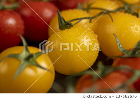 wet round fresh and sweet tomatoes of red color lie on the table, yellow tomatoes with dots on the peel, a large number of freshly picked tomatoes covered with drops of water wet round fresh and sweet tomatoes of red color lie on the table, yellow tomatoes with dots on the peel, a large number of freshly picked tomatoes covered with drops of water 137562670