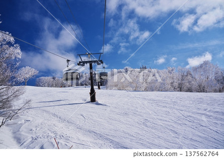 冬季的野澤溫泉滑雪場-從上平四纜車上眺望,四周環繞著覆滿霜雪的樹木。 冬季的野澤溫泉滑雪場-從上平四纜車上眺望,四周環繞著覆滿霜雪的樹木。 137562764