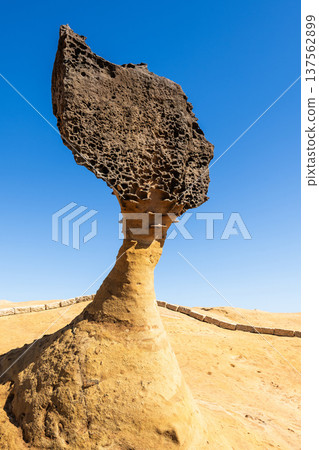 Beautiful Queen's Head of the Yehliu Geopark. Yehliu is a cape located in Wanli, New Taipei City, Taiwan. Beautiful Queen's Head of the Yehliu Geopark. Yehliu is a cape located in Wanli, New Taipei City, Taiwan. 137562899