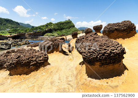 Beautiful view of the Yehliu Geopark. Yehliu is a cape located in Wanli, New Taipei City, Taiwan. 137562900