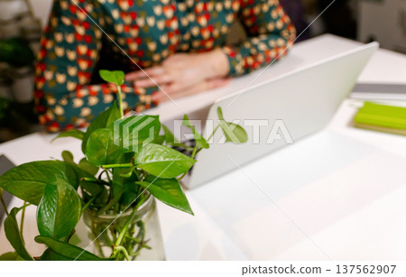 Remote work and home office concept. Unrecognizable woman in a floral shirt sitting at a white desk with a laptop and a green houseplant in the foreground 137562907