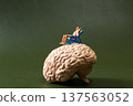 Miniature Man Relaxing on Brain Model Concept of Mental Health and Mind Relaxation 137563052
