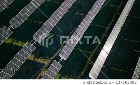Aerial view of solar panels reflecting sunlight in large photovoltaic power plant producing renewable electricity 137563498