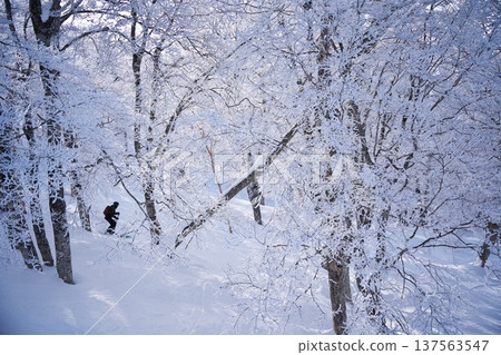 Skiers skiing through the forest next to the Yamabiko No. 2 Fourth Lift at Nozawa Onsen Ski Resort in winter Skiers skiing through the forest next to the Yamabiko No. 2 Fourth Lift at Nozawa Onsen Ski Resort in winter 137563547