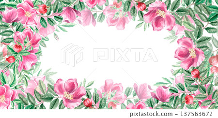 A rectangular frame with rose hips, flowers, and berries. Isolated watercolor illustration for designs related to natural ingredients, health, cosmetology, herbal medicine, and wedding printing. 137563672