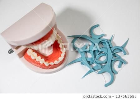 Dental Teeth Model With Floss Picks Pile Isolated On White Background Dental Teeth Model With Floss Picks Pile Isolated On White Background 137563685