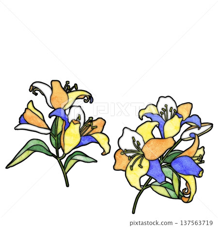 百合花 137563719