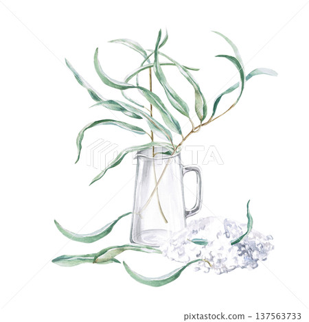 A glass pitcher with eucalyptus branches and sea salt. Isolated illustration for health blogs, spas, natural cosmetics brands, bath products, interior design, and advertising materials. A glass pitcher with eucalyptus branches and sea salt. Isolated illustration for health blogs, spas, natural cosmetics brands, bath products, interior design, and advertising materials. 137563733