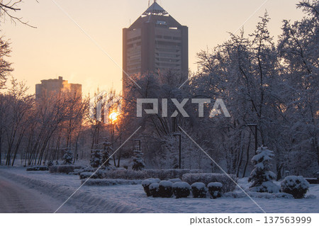 Winter park in downtown district of Kyiv. Snowy park and a high-rise apartment building in sunrise light on background. Winter Kyiv landmark. Frosty winter weather. Snowfall in downtown district. Winter park in downtown district of Kyiv. Snowy park and a high-rise apartment building in sunrise light on background. Winter Kyiv landmark. Frosty winter weather. Snowfall in downtown district. 137563999