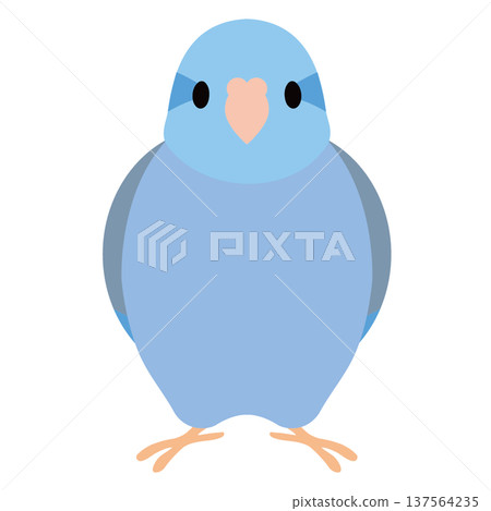 Blue Parrot 137564235