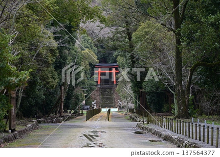 宇佐神社，位於大分縣宇佐市，是一處神聖的場所 137564377