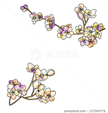 櫻花 櫻花 137564778