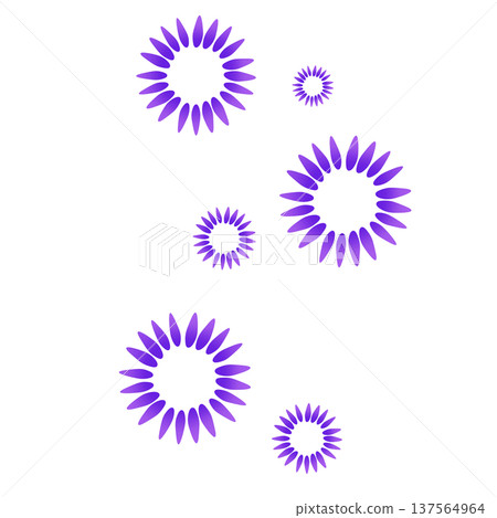 紫色多瓣花 137564964