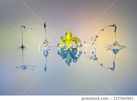 Water droplet photograph creation photograph 137564991