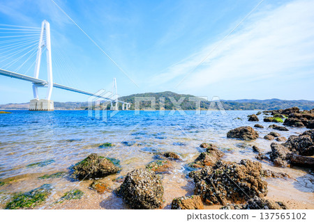 Oshima Bridge in winter, Saikai City, Nagasaki Prefecture 137565102