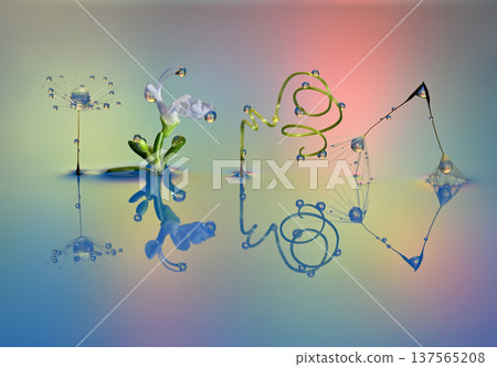 Water droplet photograph creation photograph 137565208