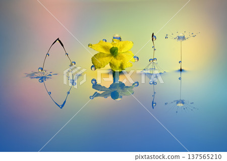 Water droplet photograph creation photograph Water droplet photograph creation photograph 137565210