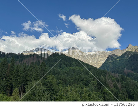 Alpine forest and Mont Blanc massif under summer blue sky in France Alpine forest and Mont Blanc massif under summer blue sky in France 137565286