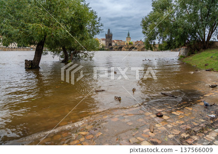 Flood in Prague. View of Charles Bridge over the flooding river Vltava, Prague Flood in Prague. View of Charles Bridge over the flooding river Vltava, Prague 137566009
