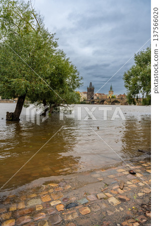Flood in Prague. View of Charles Bridge over the flooding river Vltava, Prague 137566020