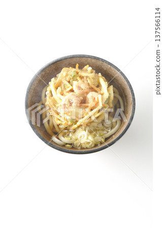 白色背景上的熱蝦仁蔬菜天婦羅烏龍麵 白色背景上的熱蝦仁蔬菜天婦羅烏龍麵 137566114